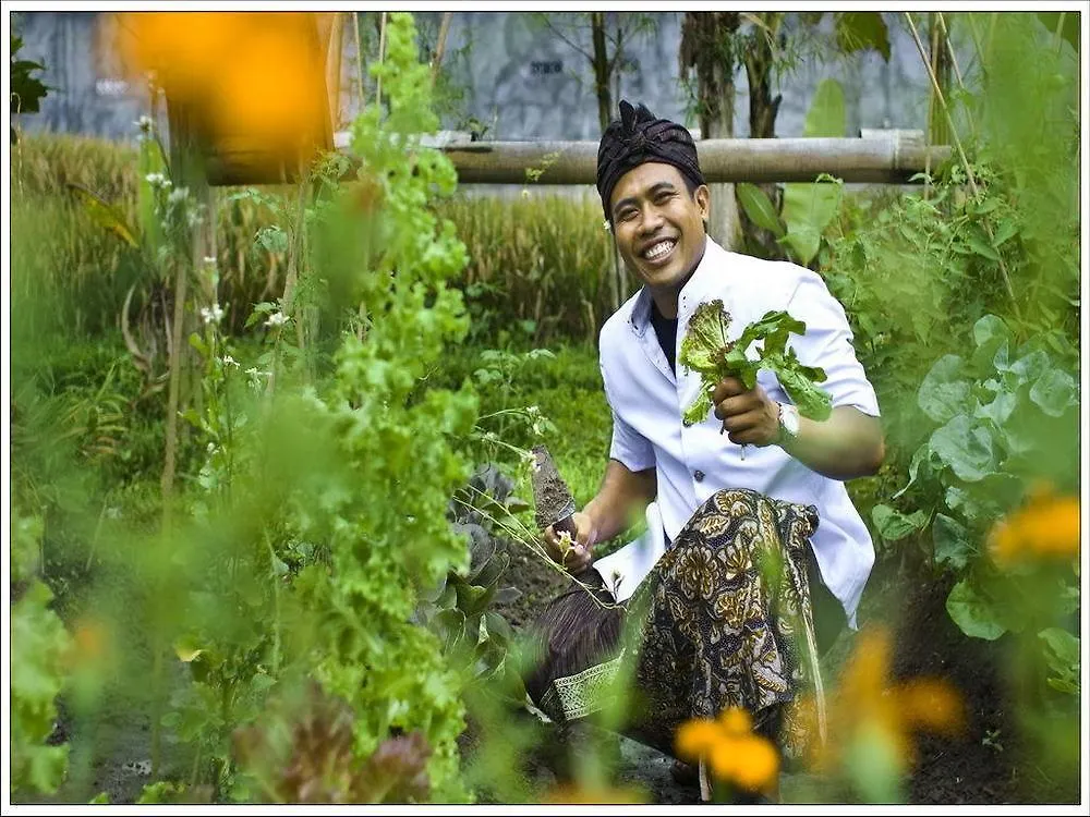 Villa Kunang Kunang Ubud  Indonesia